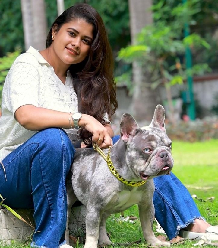 French Bulldog Puppies in Bangalore